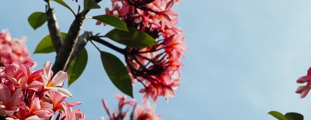 Belleza y cosmética